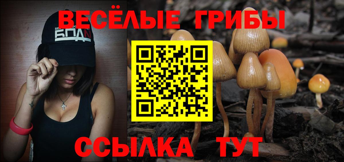 Галлюциногенные грибы прущие грибы Ахтубинск