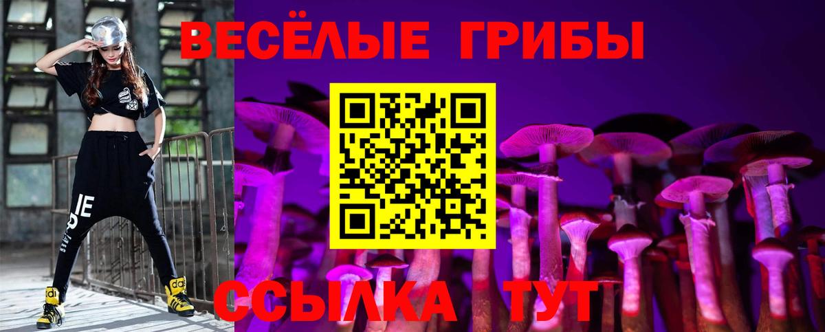 Галлюциногенные грибы ЛСД  Вход с VPN  Галлюциногенные грибы Cubensis  купить закладку  Ахтубинск 